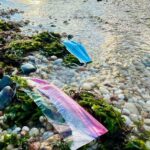Reciclaje de plásticos y la protección de los ecosistemas acuáticos