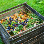 Reciclaje de residuos de jardín: abono y compostaje casero