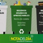 Reciclaje de residuos de oficina: cómo separar y clasificar correctamente