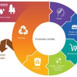 Reciclaje y la economía circular en la industria de alimentos y bebidas